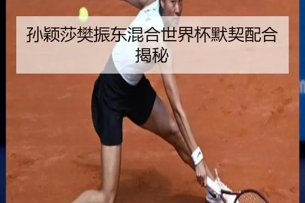 孙颖莎樊振东混合世界杯默契配合揭秘