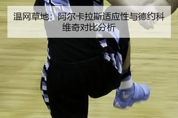 温网草地：阿尔卡拉斯适应性与德约科维奇对比分析