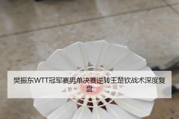 fan-zhen-dong-guan-jun-sai-nan-dan-jue-sai-ni-zhuan-wang-chu-qin-zhan-shu-shen-du-fu-pan-2-474.jpg