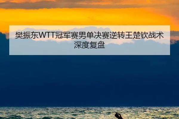 樊振东WTT冠军赛男单决赛逆转王楚钦战术深度复盘
