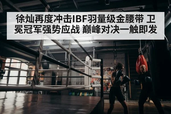 boxer training