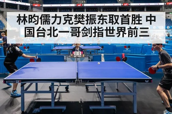 林昀儒力克樊振东取首胜 中国台北一哥剑指世界前三