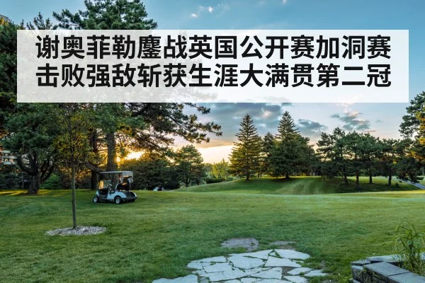 谢奥菲勒鏖战英国公开赛加洞赛击败强敌斩获生涯大满贯第二冠