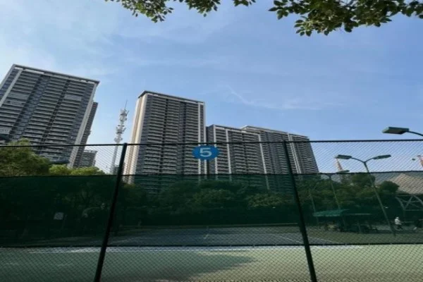 凯蒂泰勒与塞拉诺三番战创票房最高纪录 女子拳击迎来黄金时代